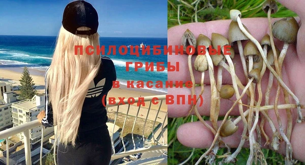 ешки Алзамай