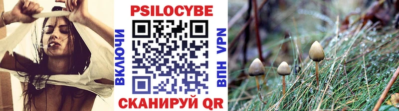 Псилоцибиновые грибы прущие грибы  Старая Русса 